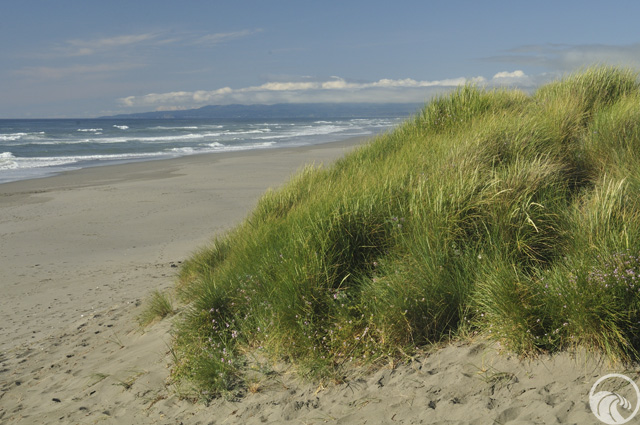 humboldt bay photo