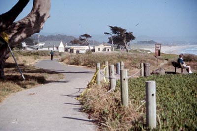 Coastside Trail, Half Moon Bay