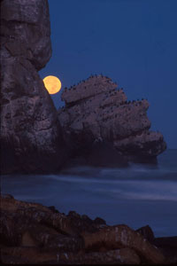 Moonset, Morro Rock, Morro Bay. Photo © Marlin Harms