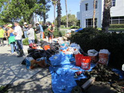 Marina Cleanup 2011