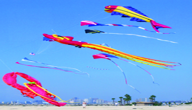 Kites, photo by Steve Scholl