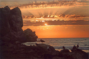 Morro Rock, Photo © Carl F. Peters