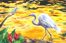Coast's Sunset, by Catherine Ryu, 2008 honorable mention