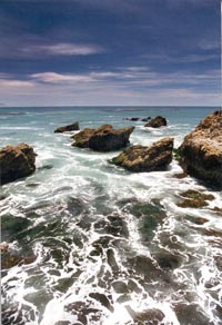 Steve Gould, San Simeon Point "Clean Water", 99' photo contest, honorable mention.