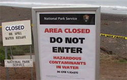 Rodeo Beach is closed due to oil spill.  
	Photo: The Marine Mammal Center