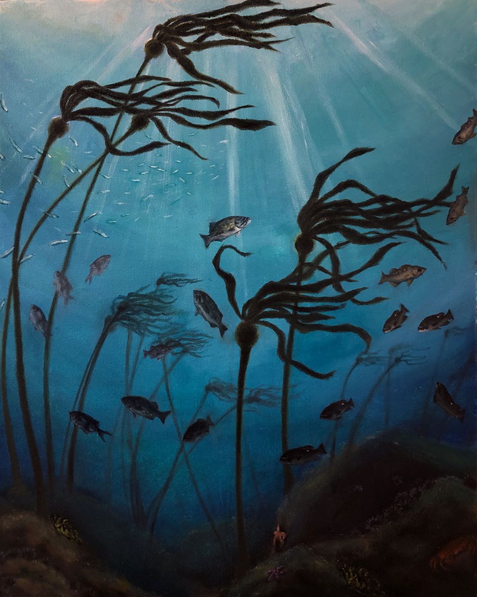 Looking up from below at a kelp forest as fish swim among the fronds and 
							light streams down from above.