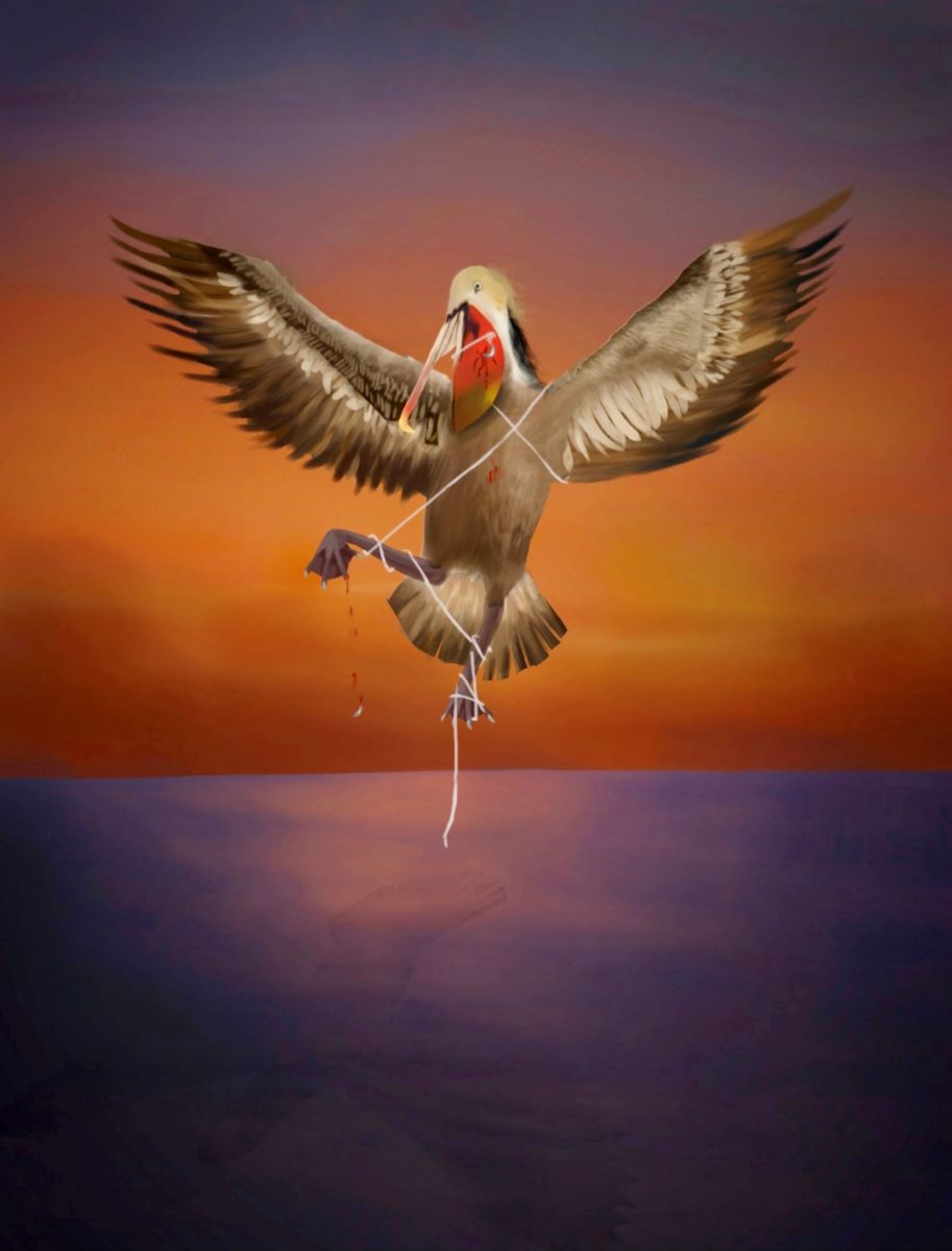 A pelican hovers over the 
							ocean with its wings spread. Fishing line is wrapped around it and a 
							fish hook is caught in its mouth.
