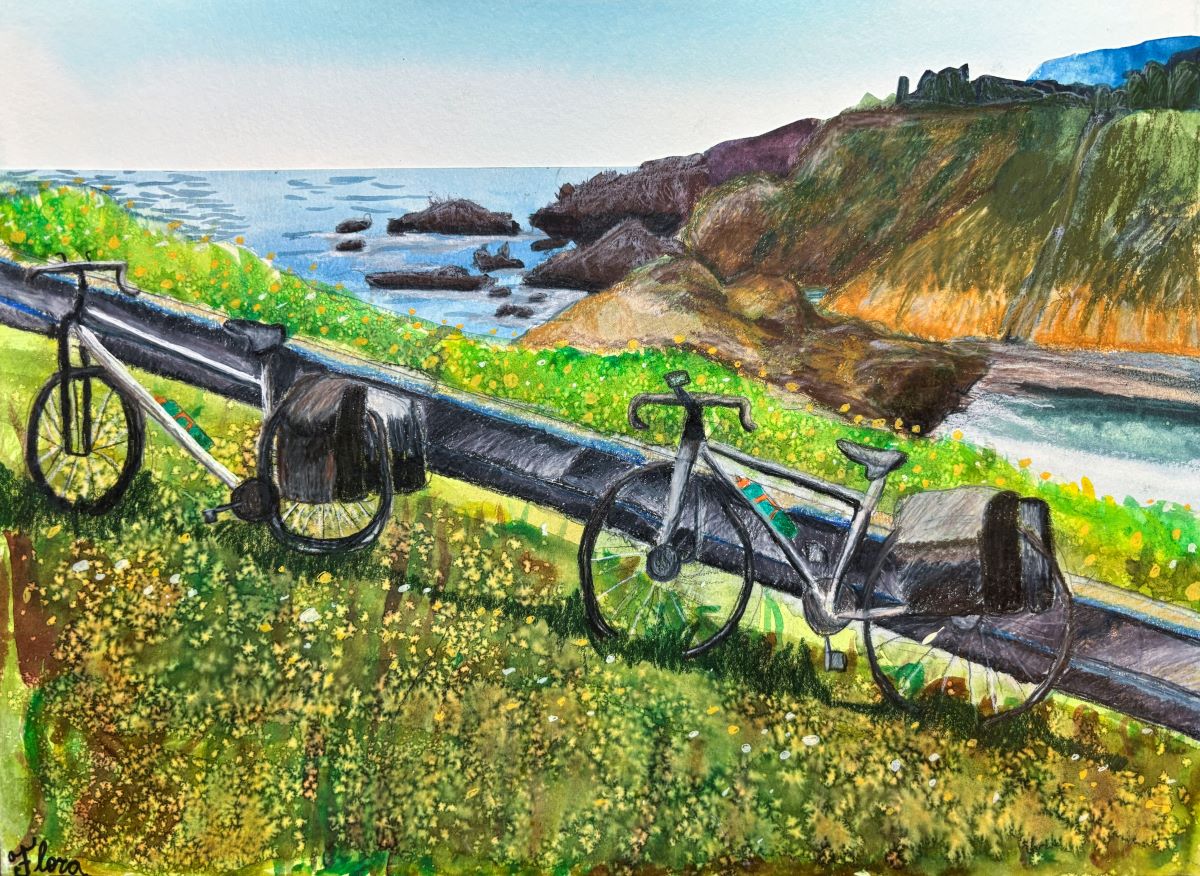 Two bicycles lean against a guardrail above  
							a rocky shoreline. Flowers grow on both sides of the rail.