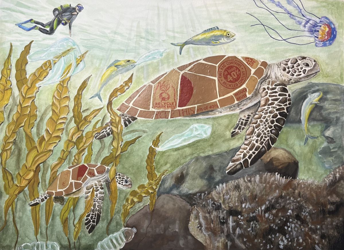 An underwater scene shows 
							a turtle whose shell is composed of litter. Fish and jellies swim with it 
							and plastic bottles and bags are also seen. A scuba diver looks on.