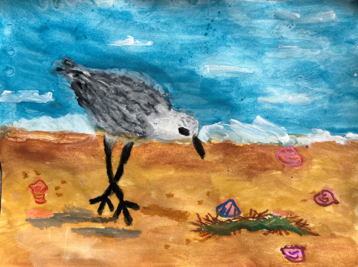 A shorebird walks on the beach and looks down at a shell in the sand.