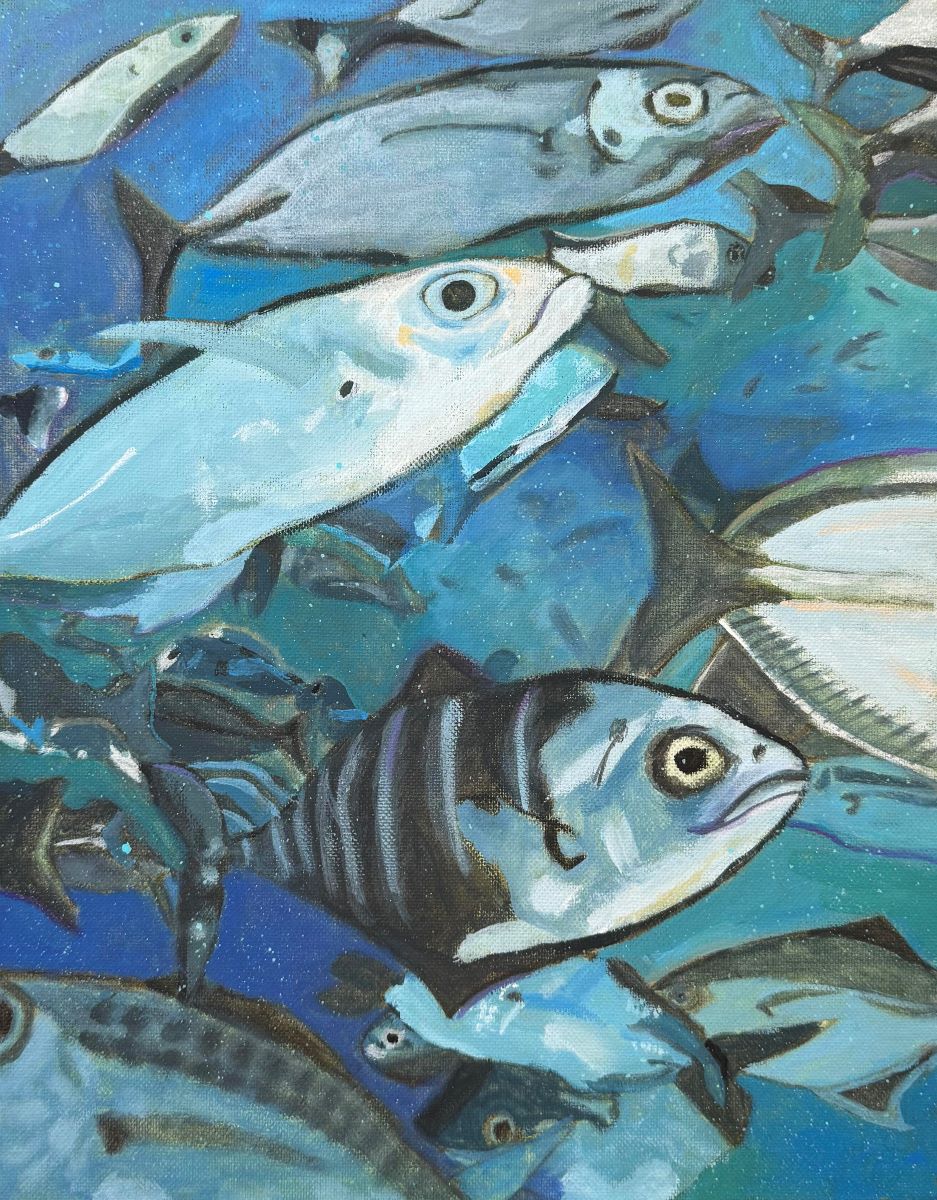 A school of fish is shown close up.
