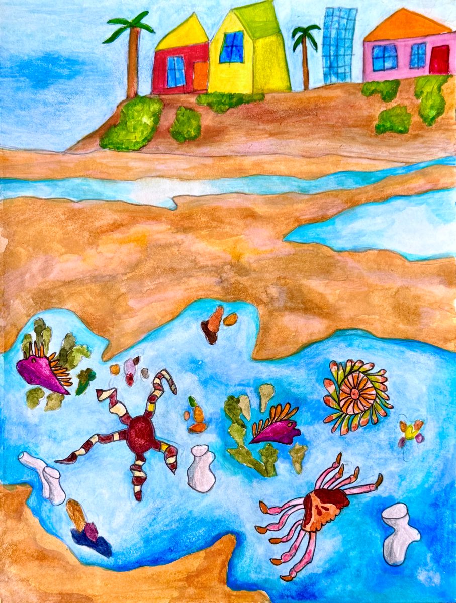 Colorful houses stand in the background on sand dunes along with some greenery and two palm trees. High tide has left some sea animals visible in the tidepool, such as sea slugs, sea stars, and crabs.