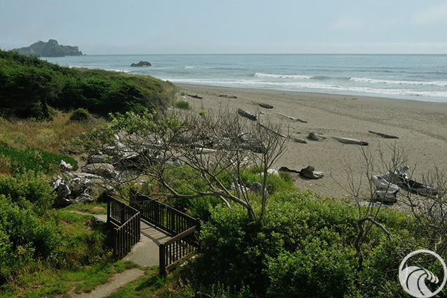 Clifford Kamph Memorial Park