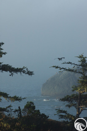 Brother Jonathan Park / Vista Point