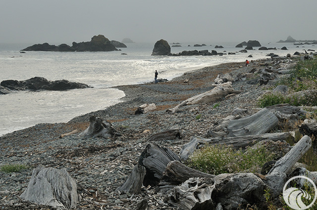 Path at Oceanfront Lodge