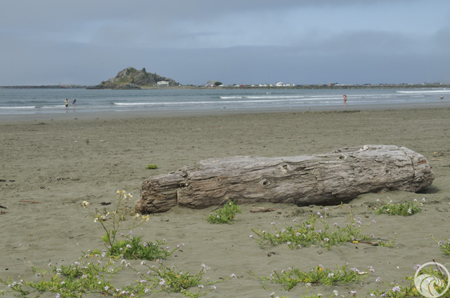 Crescent Beach (Crescent City)