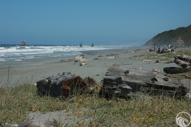 Redwood Creek Beach Picnic Area
