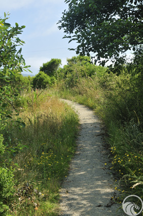 Arcata Marsh and Wildlife Sanctuary