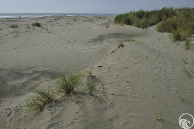 Clam Beach County Park