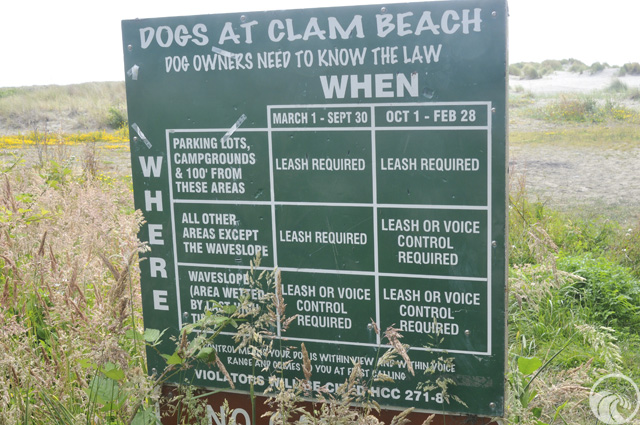 Clam Beach County Park