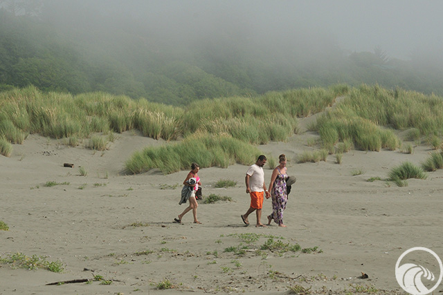 Clam Beach County Park