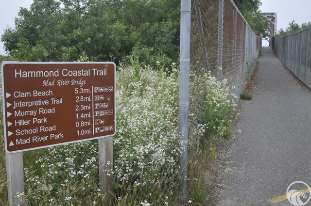 Hammond Trail