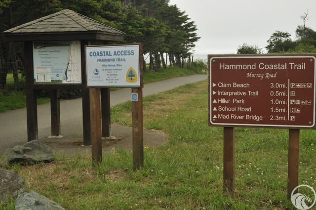 Hammond Trail