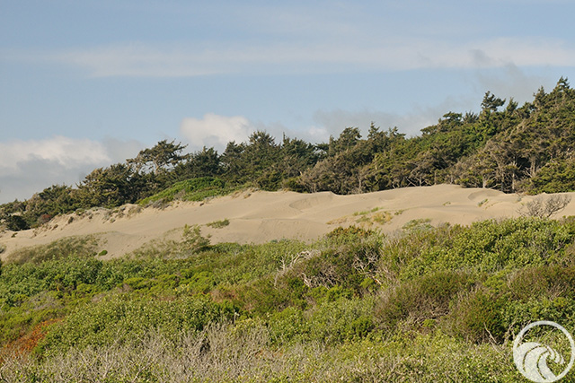 Ma-Le'l Dunes South