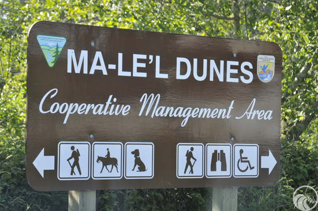 Ma-Le'l Dunes South