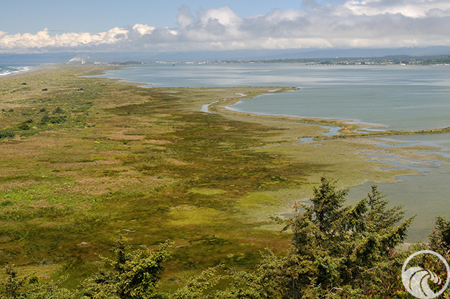 Mike Thompson Wildlife Area / South Spit