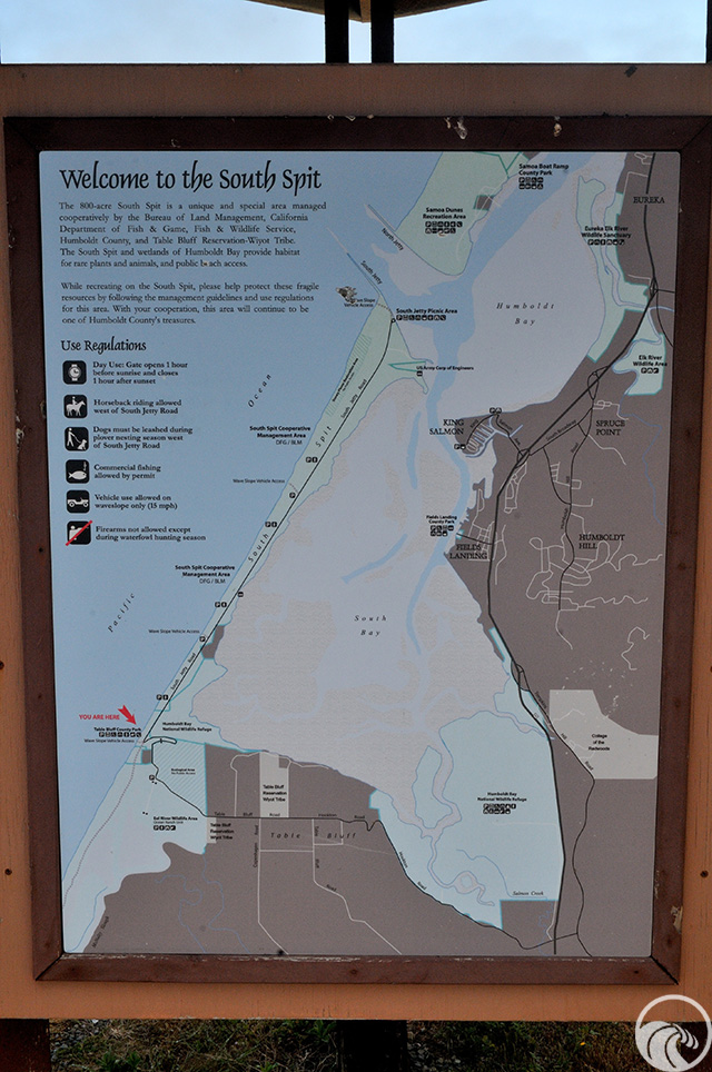Mike Thompson Wildlife Area / South Spit