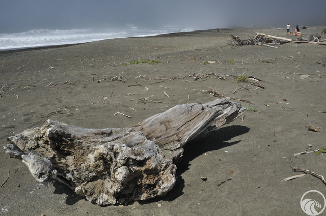 Mattole River and Beach