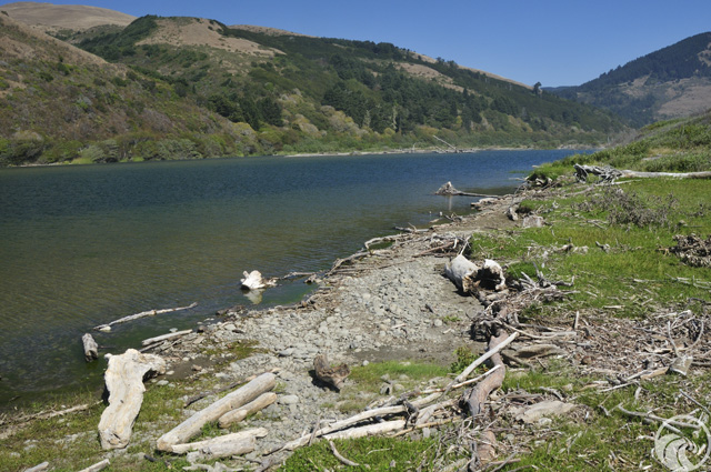 Mattole River and Beach