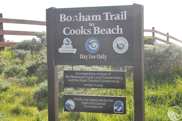 Bonham Trail to Cook's Beach