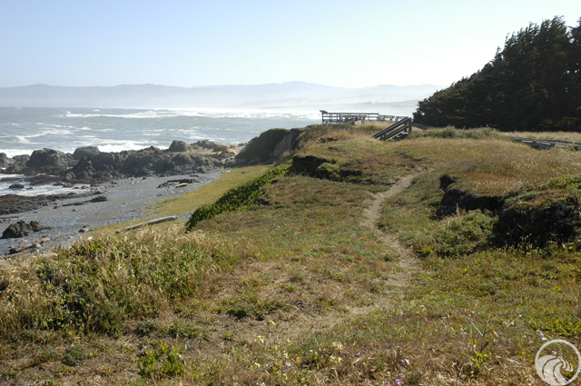 MacKerricher State Park