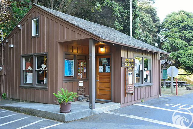 MacKerricher State Park