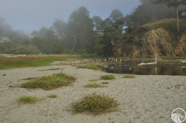 Hare Creek Public Access