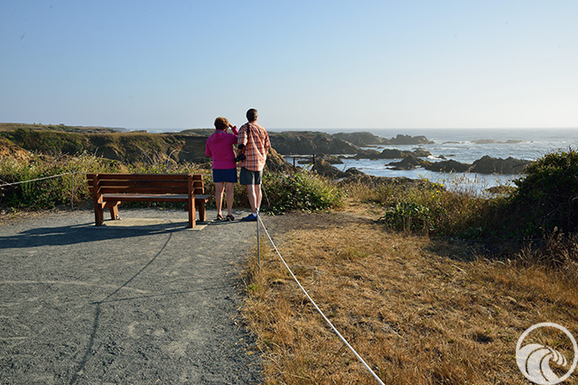 Noyo Headlands Park - North