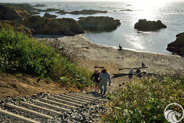 Noyo Headlands Park - North