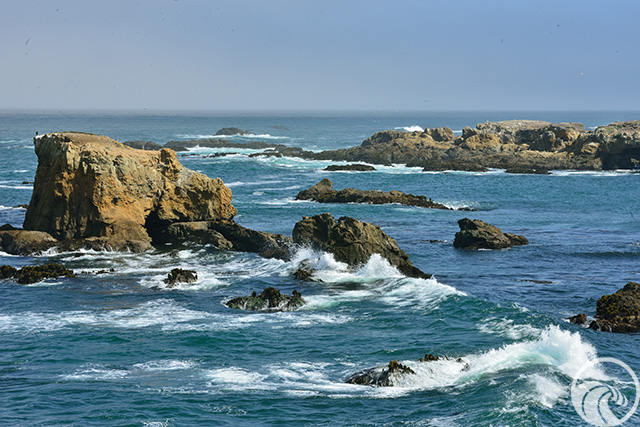 Noyo Headlands Park - North