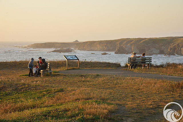 Pomo Bluffs Park