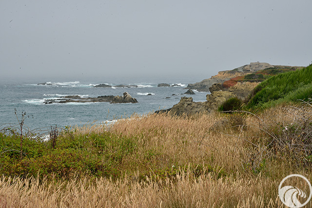 Caspar Headlands State Beach