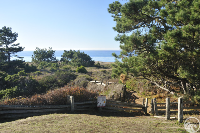 Russian Gulch State Park