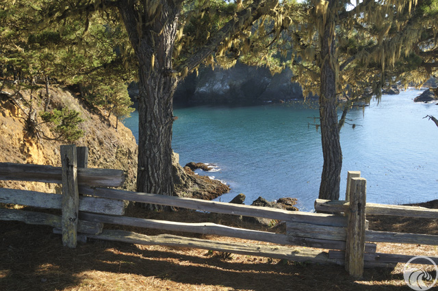 Russian Gulch State Park