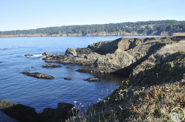 Mendocino Headlands State Park