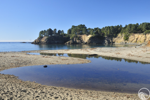 Van Damme State Park