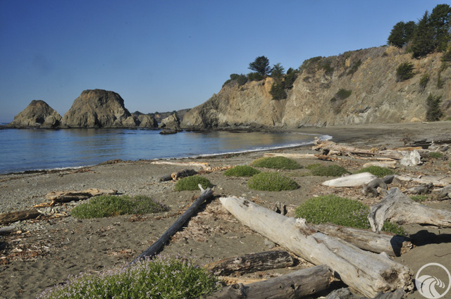 Greenwood State Beach