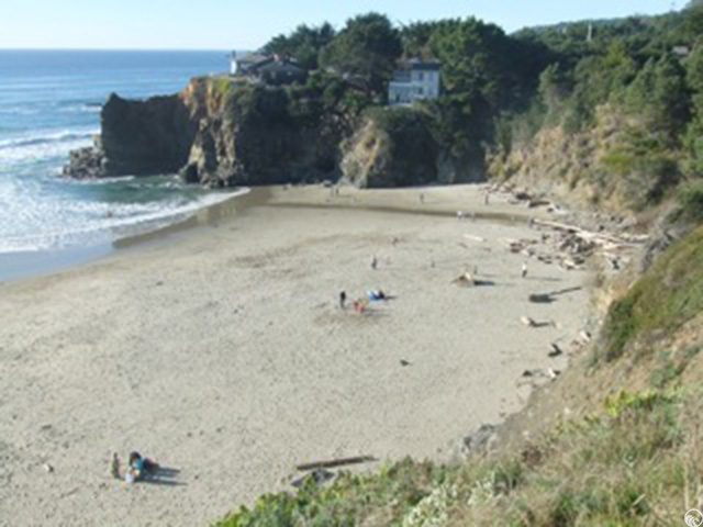 Bonham Trail to Cook's Beach