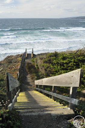 Black Point Beach