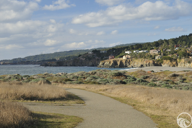Gualala Point Regional Park
